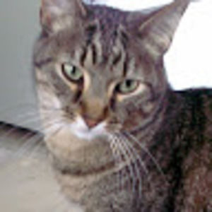 Meet your Posher, Ruth